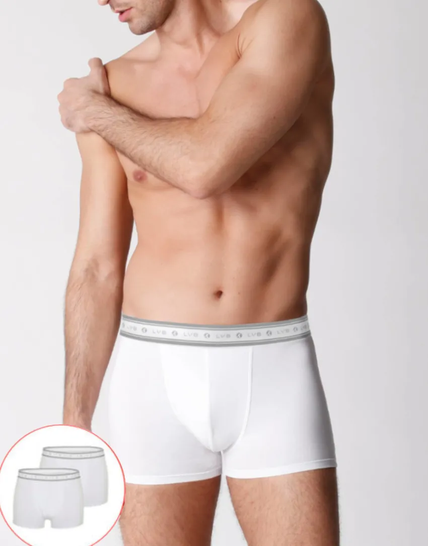 Uomo LOVABLE Multipack|Boxer-Boxer bipack uomo in cotone biologico, REF# L0A6C