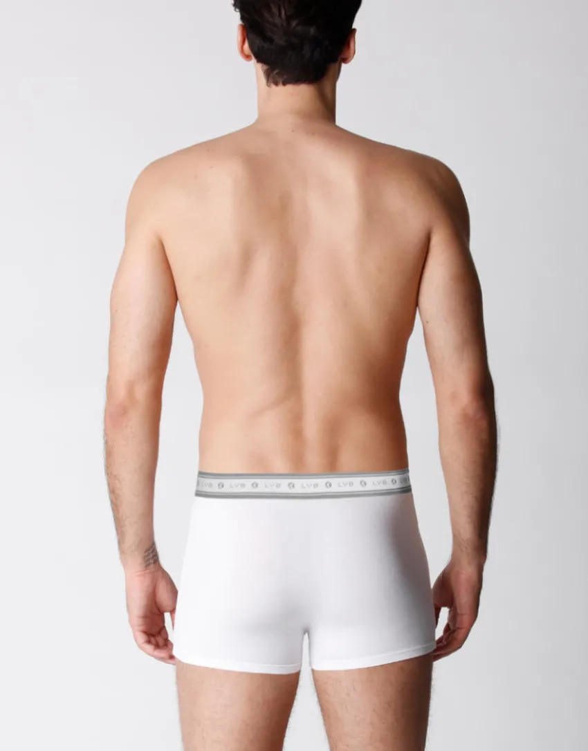 Uomo LOVABLE Multipack|Boxer-Boxer bipack uomo in cotone biologico, REF# L0A6C